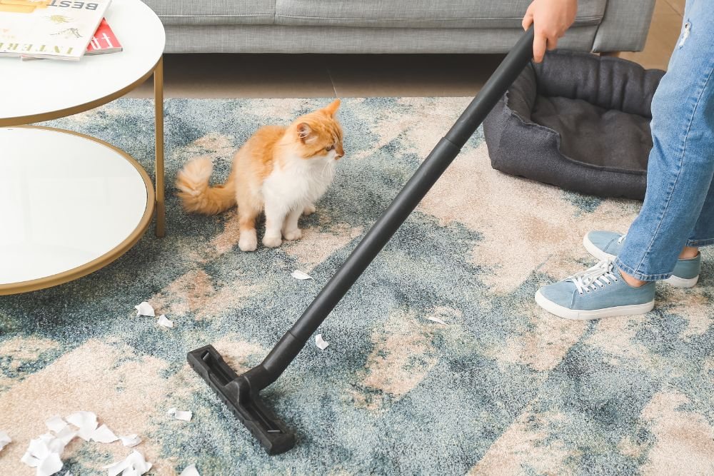 A woman is vacuuming a room, highlighting a pet mess removal service based in Columbia, SC.